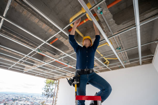 Best Plumbing Installation Services  in Walled Lake, MI